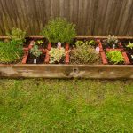 Photo of Somerdale Family Dental Garden